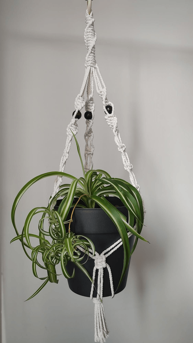 Suspension plante macramé - Déco bohème chic - Modèle 2