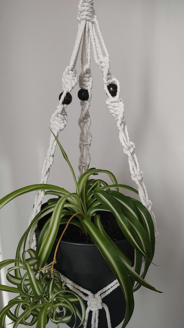 Suspension plante macramé - Déco bohème chic - Modèle 2
