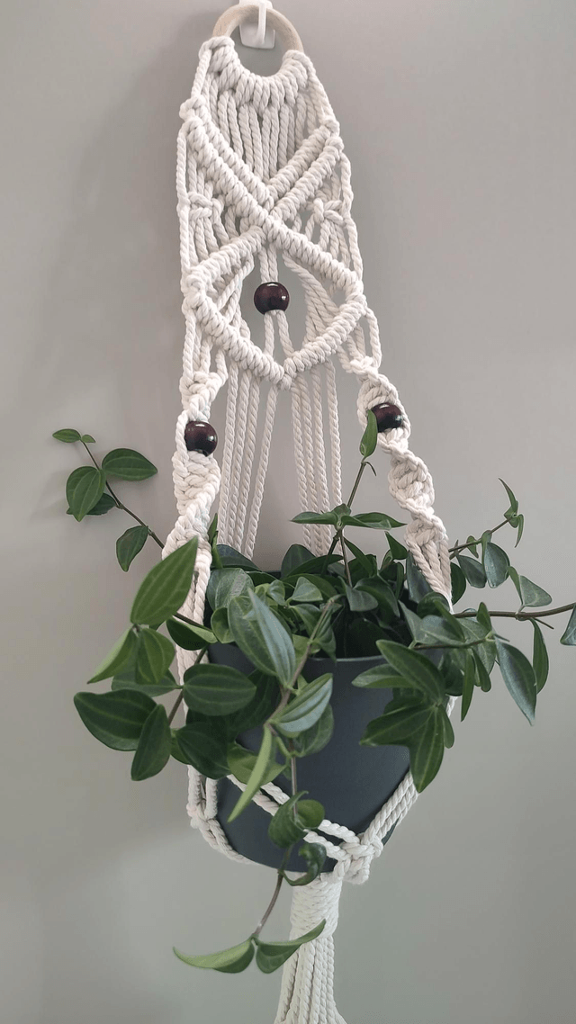 Suspension murale plante macramé - Déco bohème chic - Modèle C