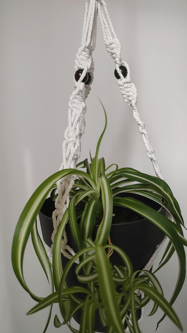 Suspension plante macramé - Déco bohème chic - Modèle 2