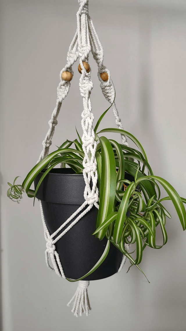 Suspension plante macramé - Déco bohème chic - Modèle 1
