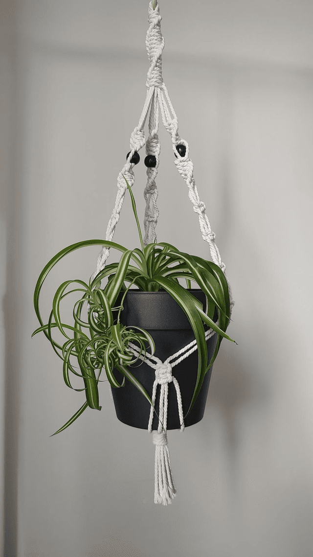 Suspension plante macramé - Déco bohème chic - Modèle 2